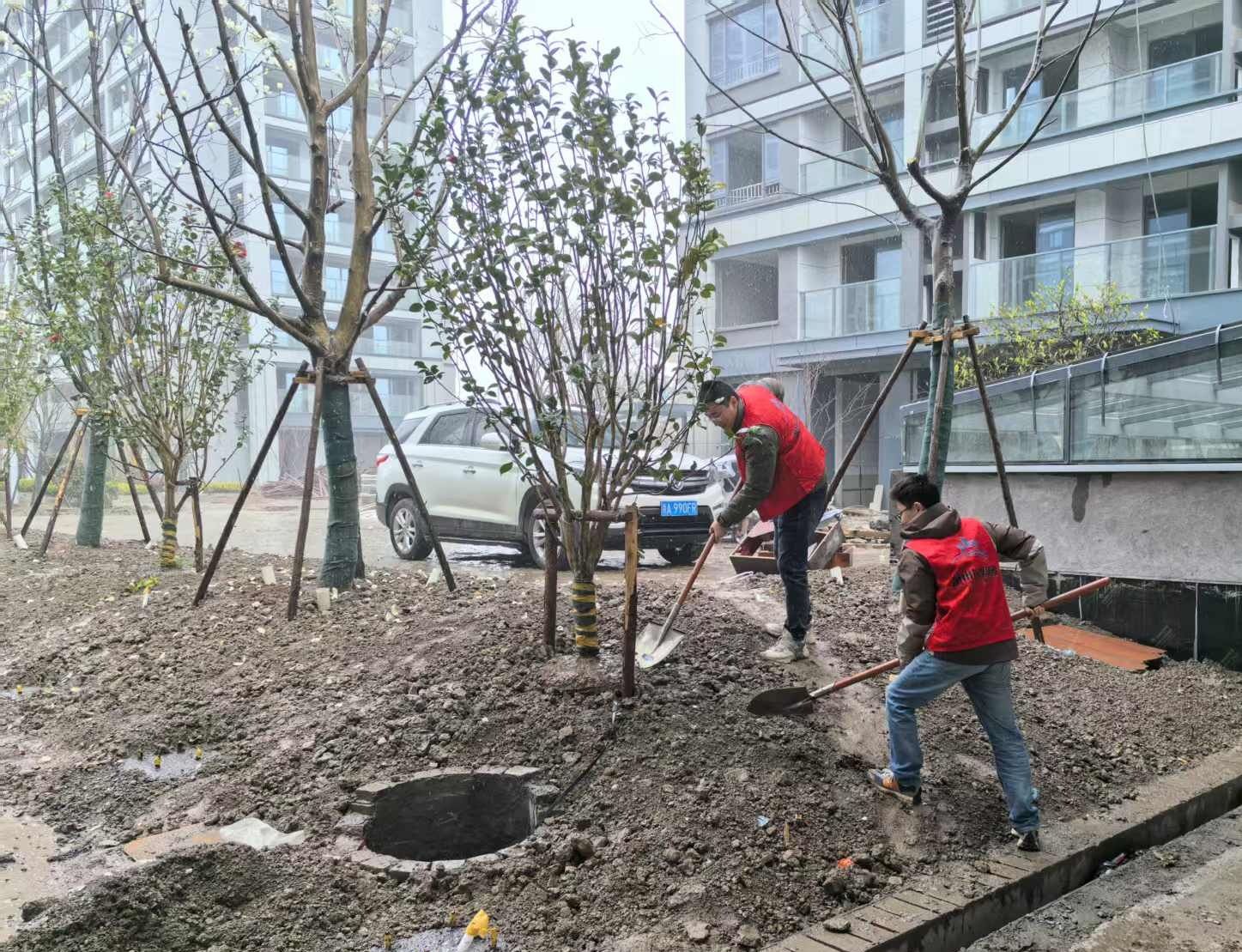 微信图片_20250312105322.jpg